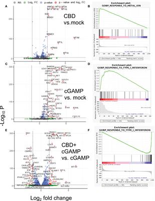 Cannabidiol modulates expression of type I IFN response genes and HIV infection in macrophages